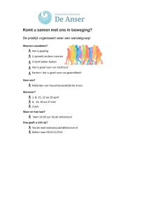 Flyer wandelgroep